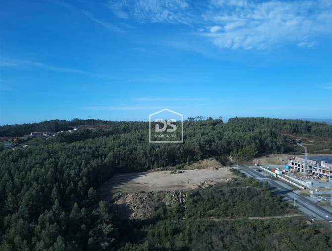 Terreno para Venda em Recezinhos (São Martinho) Foto 8