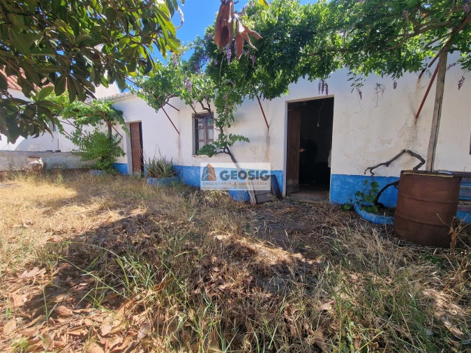 Moradia T3 para Venda em São Miguel do Pinheiro, São Pedro de Solis, São Sebastião dos Carros Foto 37