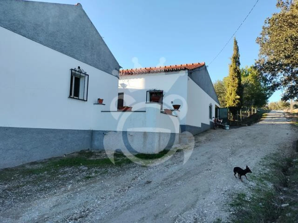 Quinta T3 para Venda em Santiago Maior Foto 2