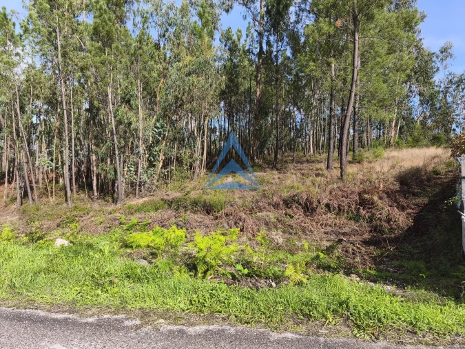 Terreno para Venda em Vermoil Foto 1