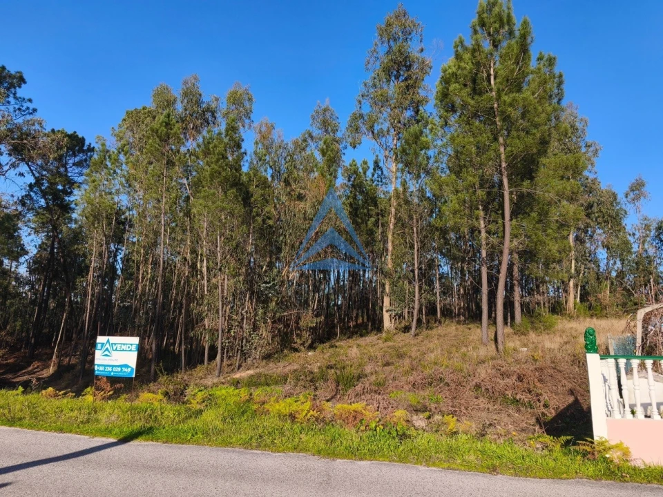 Terreno para Venda em Vermoil Foto 3