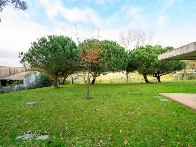 Moradia T3 para Venda em Madalena Foto 19