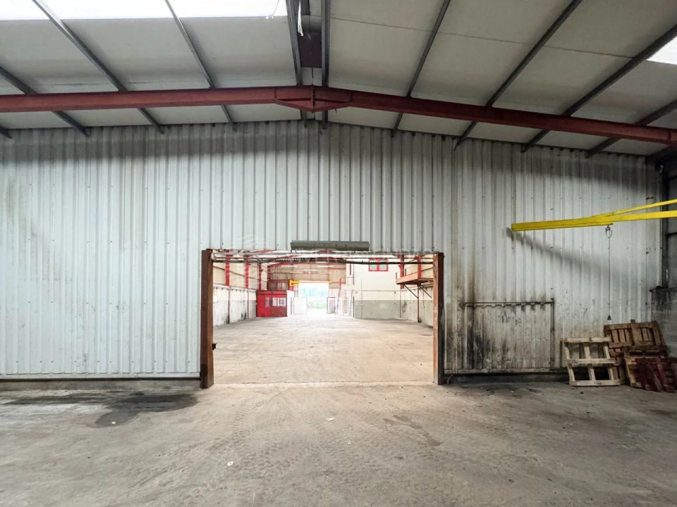 Armazém para Venda em Raiva, Pedorido e Paraíso Foto 16