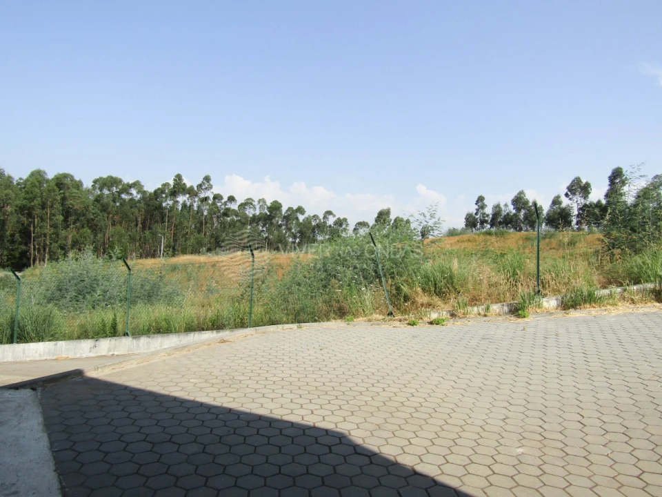 Armazém para Venda em Raiva, Pedorido e Paraíso Foto 20