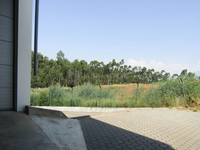 Armazém para Venda em Raiva, Pedorido e Paraíso Foto 21