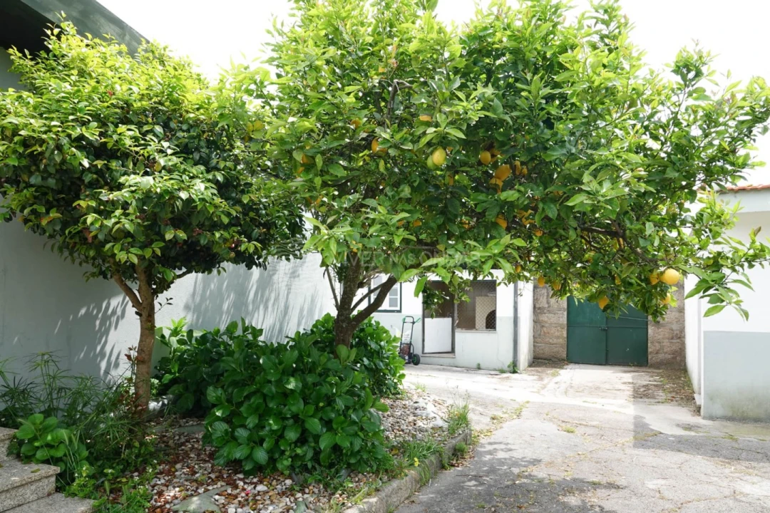 Quinta T7 para Venda em Castêlo da Maia Foto 93