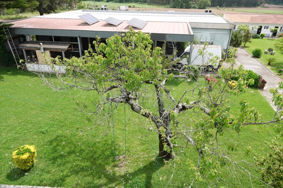 Quinta T7 para Venda em Castêlo da Maia Foto 97