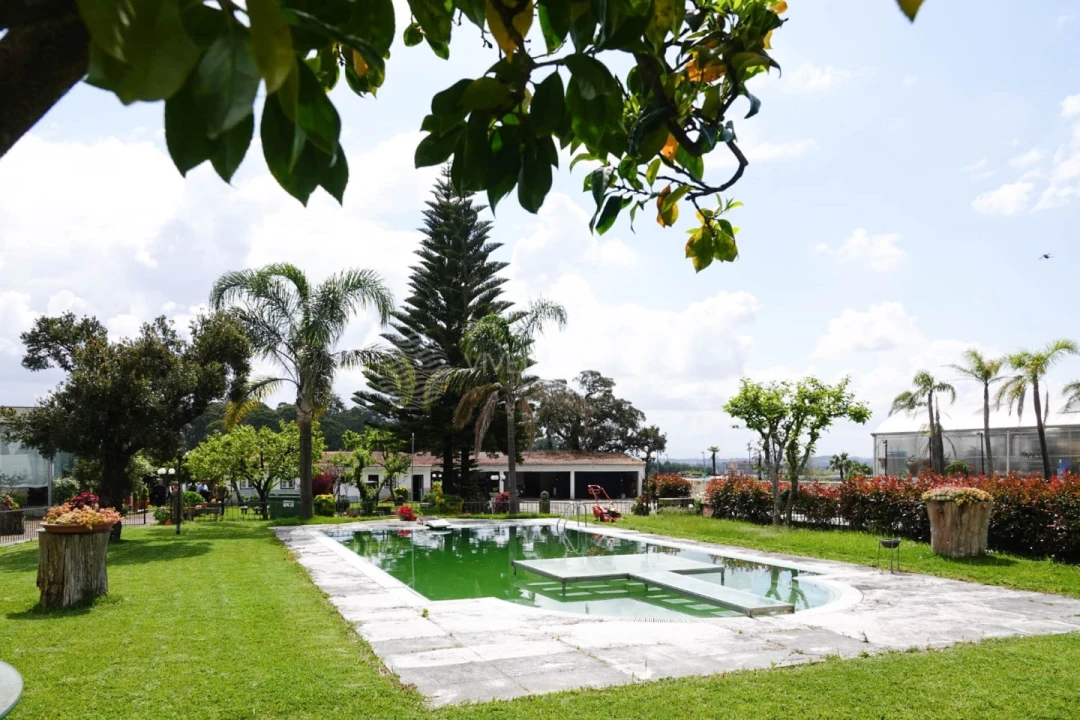 Quinta T7 para Venda em Castêlo da Maia Foto 86