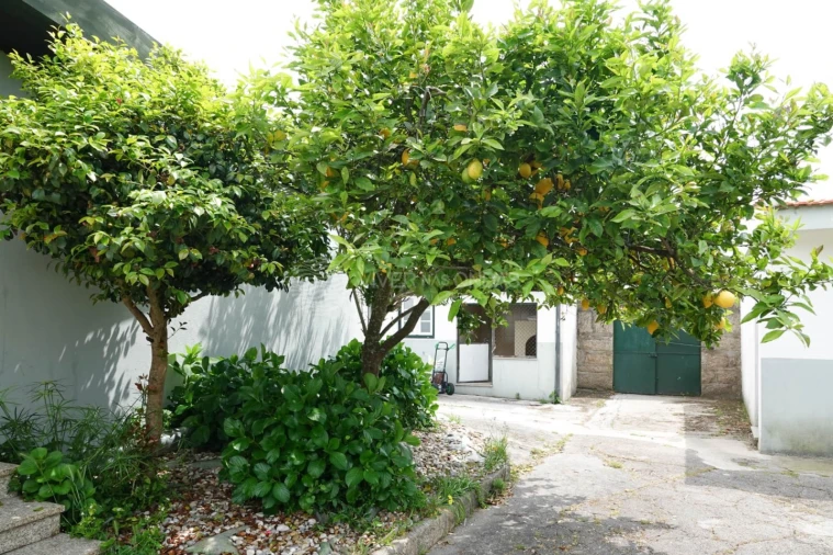 Quinta T7 para Venda em Castêlo da Maia Foto 92