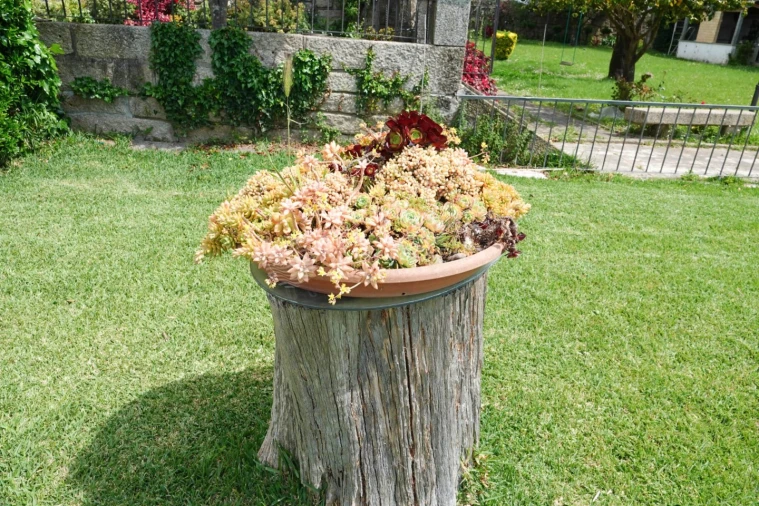 Quinta T7 para Venda em Castêlo da Maia Foto 77