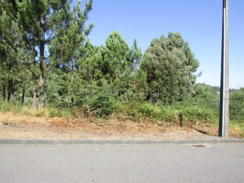 Terreno Agricola ou Rústico para Venda em Sandim, Olival, Lever e Crestuma Foto 5