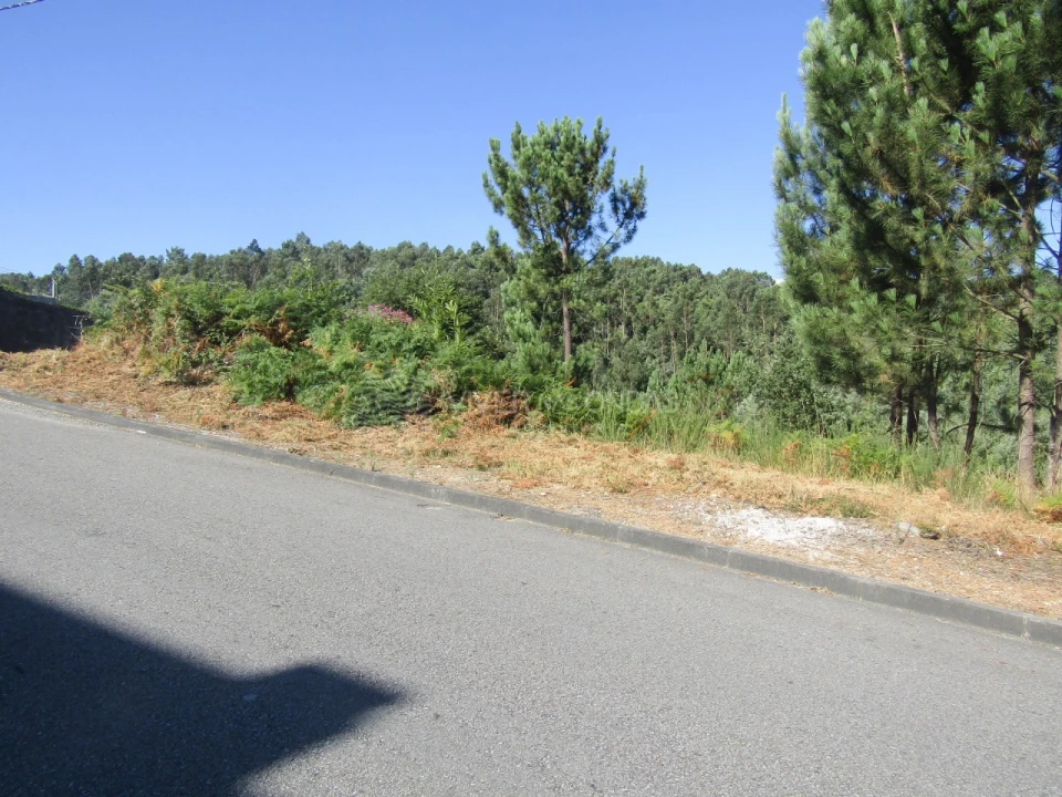 Terreno Agricola ou Rústico para Venda em Sandim, Olival, Lever e Crestuma Foto 8