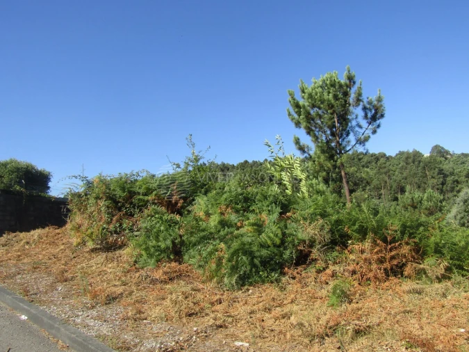Terreno Agricola ou Rústico para Venda em Sandim, Olival, Lever e Crestuma Foto 2