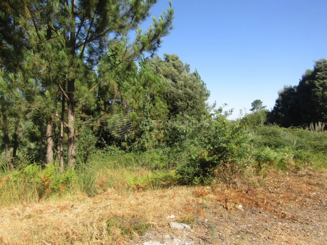 Terreno Agricola ou Rústico para Venda em Sandim, Olival, Lever e Crestuma Foto 3