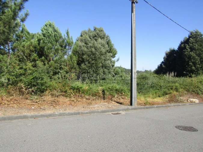 Terreno Agricola ou Rústico para Venda em Sandim, Olival, Lever e Crestuma Foto 7