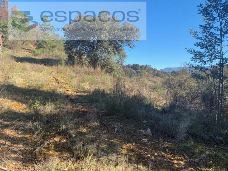 Terreno para Venda em Lavacolhos Foto 15