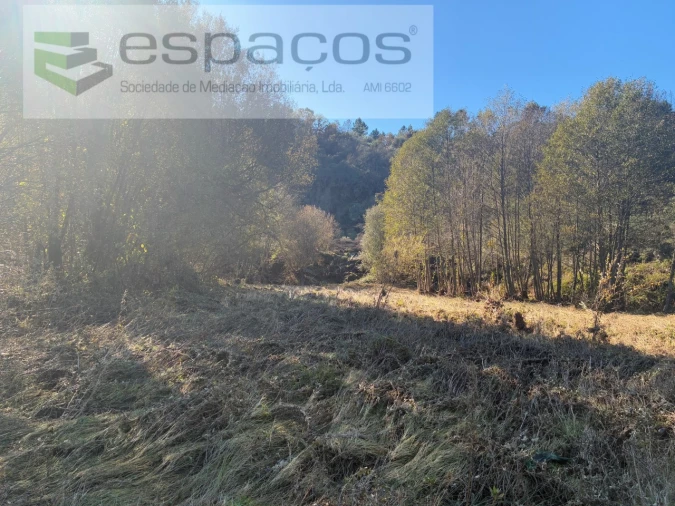 Terreno para Venda em Lavacolhos Foto 7