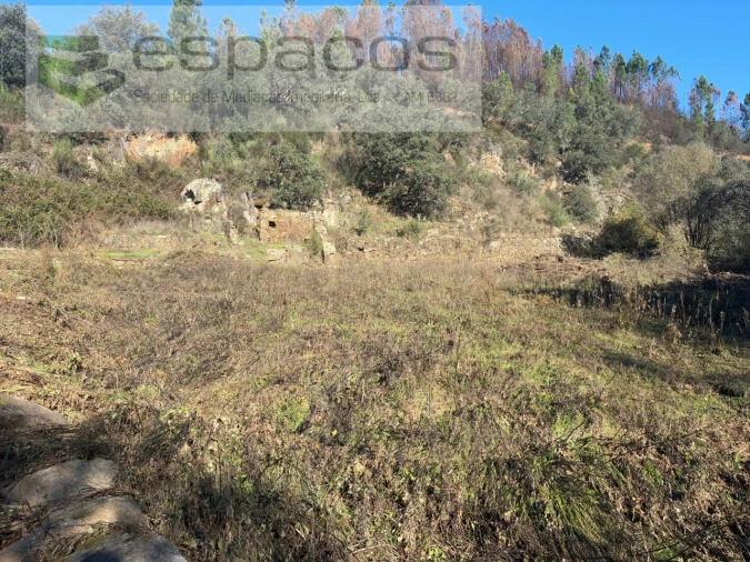 Terreno para Venda em Lavacolhos Foto 9