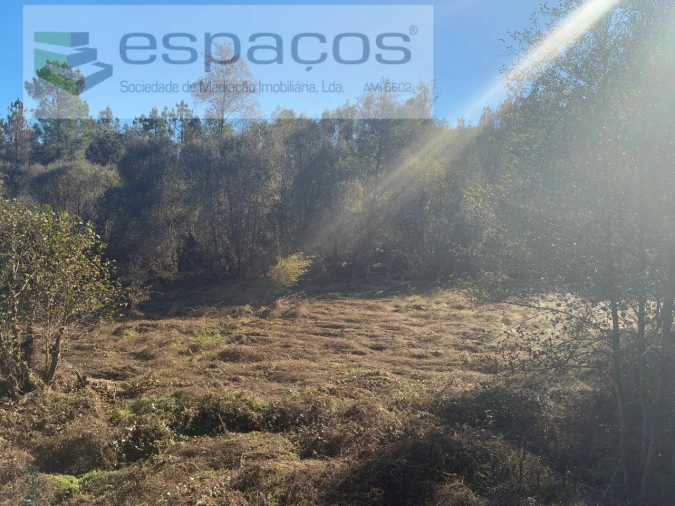 Terreno para Venda em Lavacolhos Foto 12