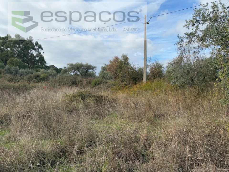 Quinta T3 para Venda em Vale de Prazeres e Mata da Rainha Foto 40