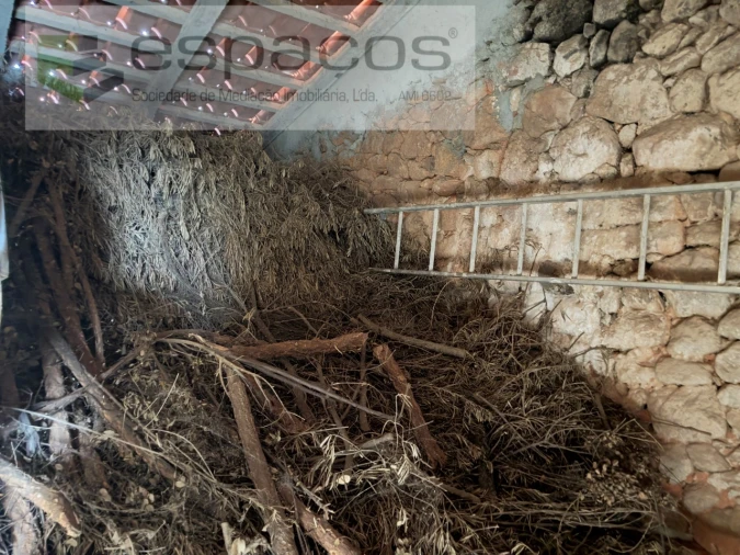 Quinta T3 para Venda em Vale de Prazeres e Mata da Rainha Foto 3