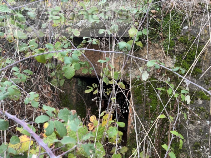 Quinta T3 para Venda em Vale de Prazeres e Mata da Rainha Foto 31