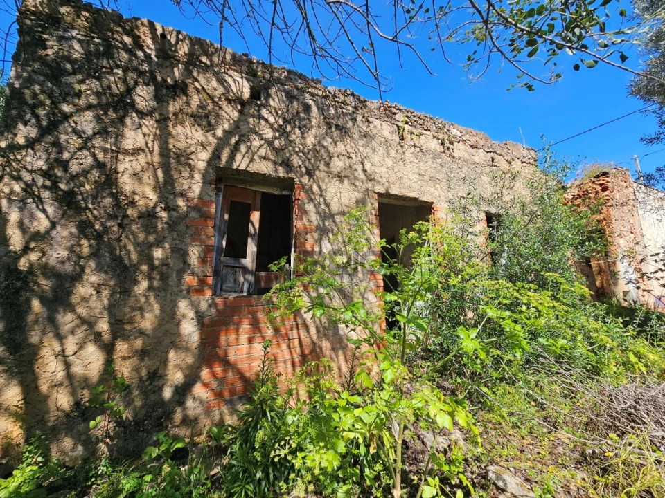 Terreno para Venda em Salir Foto 1