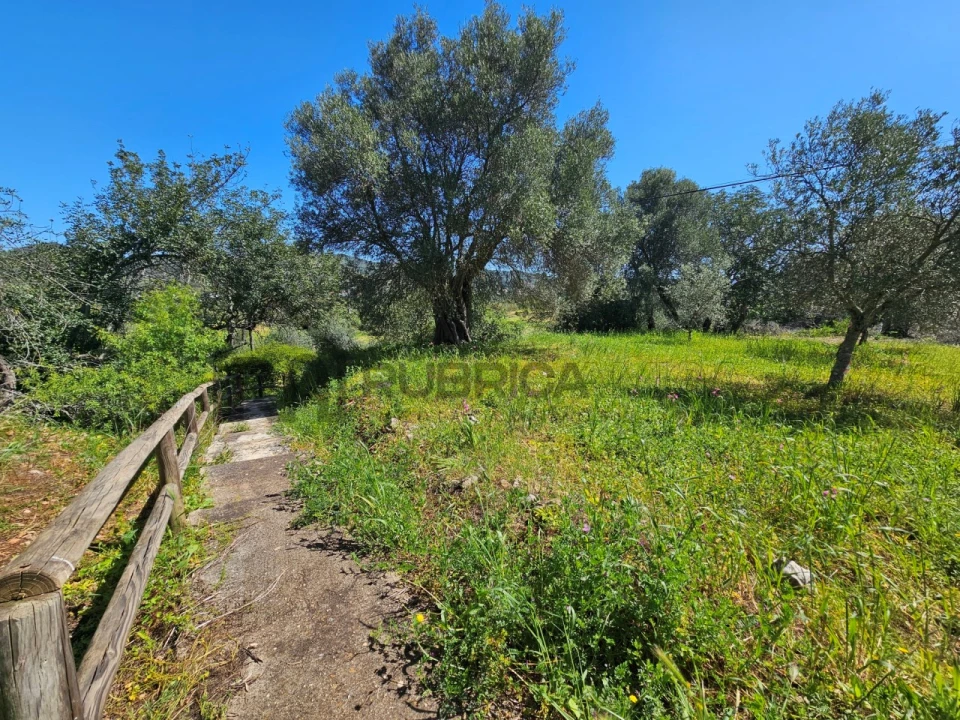 Terreno para Venda em Salir Foto 9