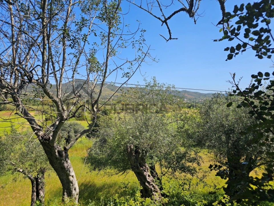 Terreno para Venda em Salir Foto 10