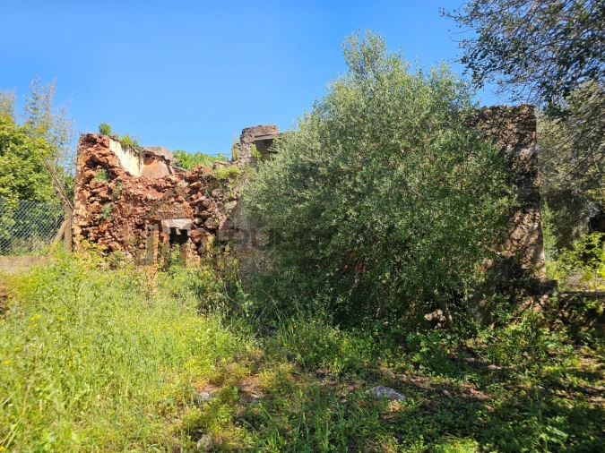 Terreno para Venda em Salir Foto 11