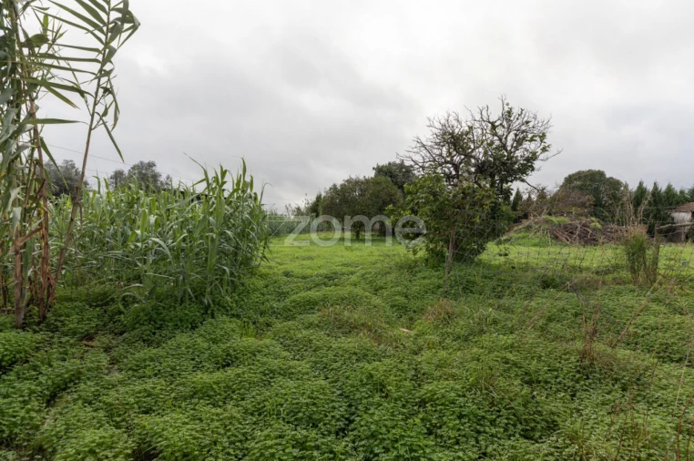 Moradia T8 para Venda em São Martinho do Bispo e Ribeira de Frades Foto 43