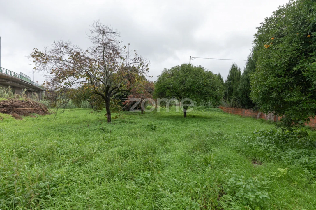 Moradia T8 para Venda em São Martinho do Bispo e Ribeira de Frades Foto 41