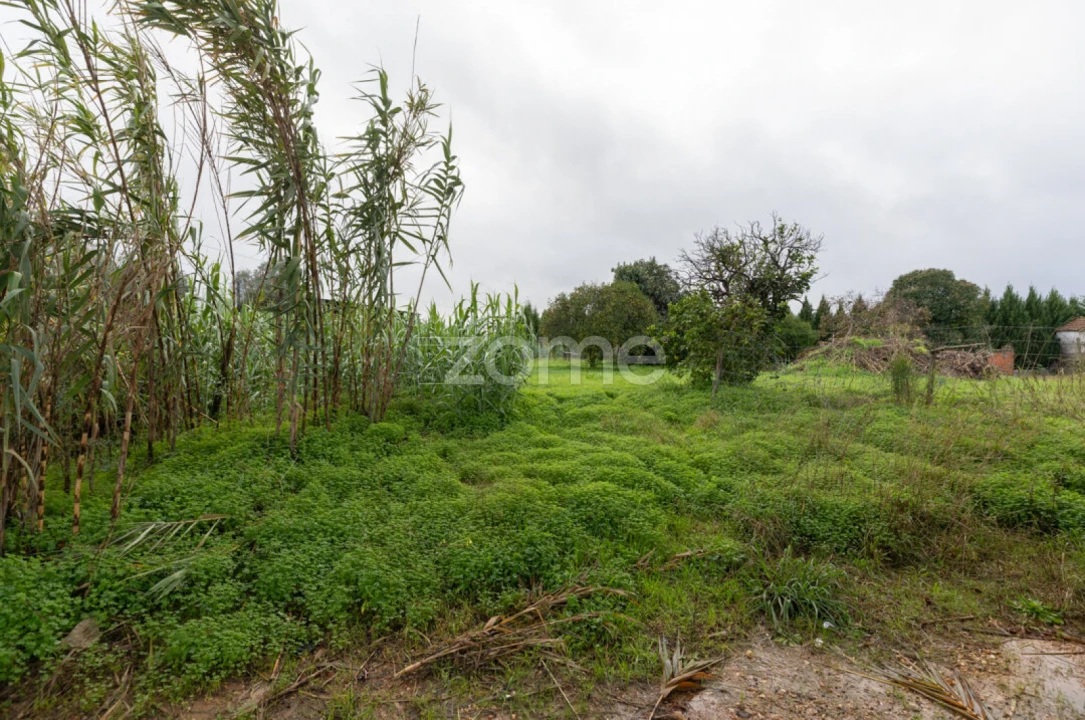 Moradia T8 para Venda em São Martinho do Bispo e Ribeira de Frades Foto 45