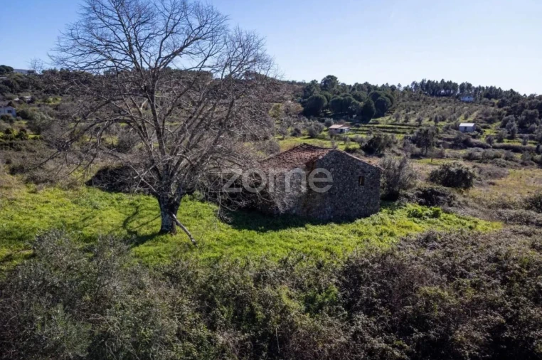 Terreno para Venda em Mação, Penhascoso e Aboboreira Foto 5