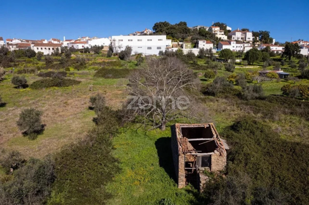 Terreno para Venda em Mação, Penhascoso e Aboboreira Foto 6