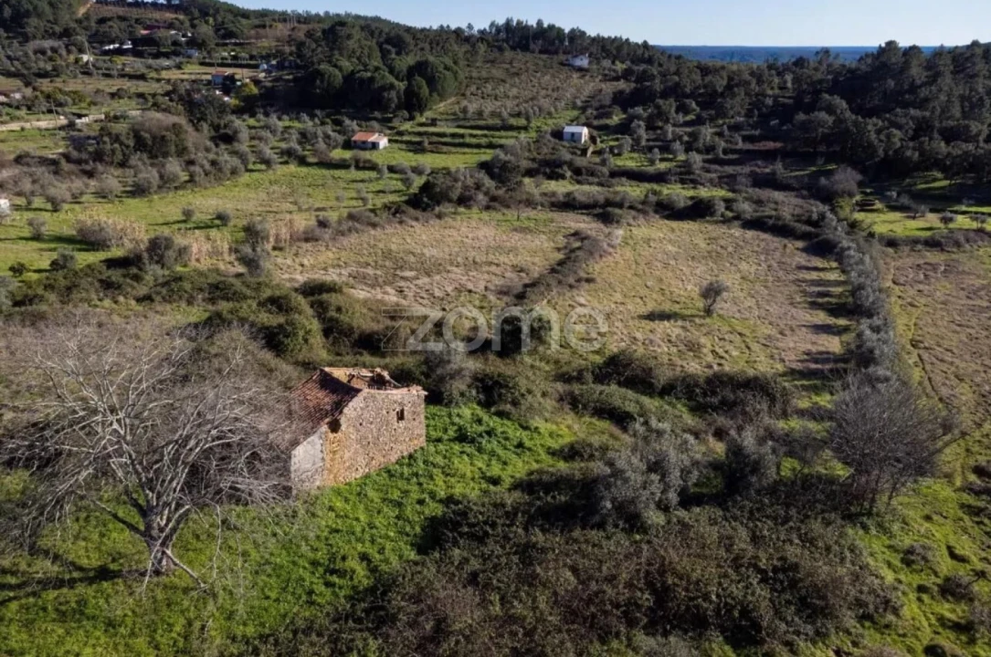 Terreno para Venda em Mação, Penhascoso e Aboboreira Foto 3