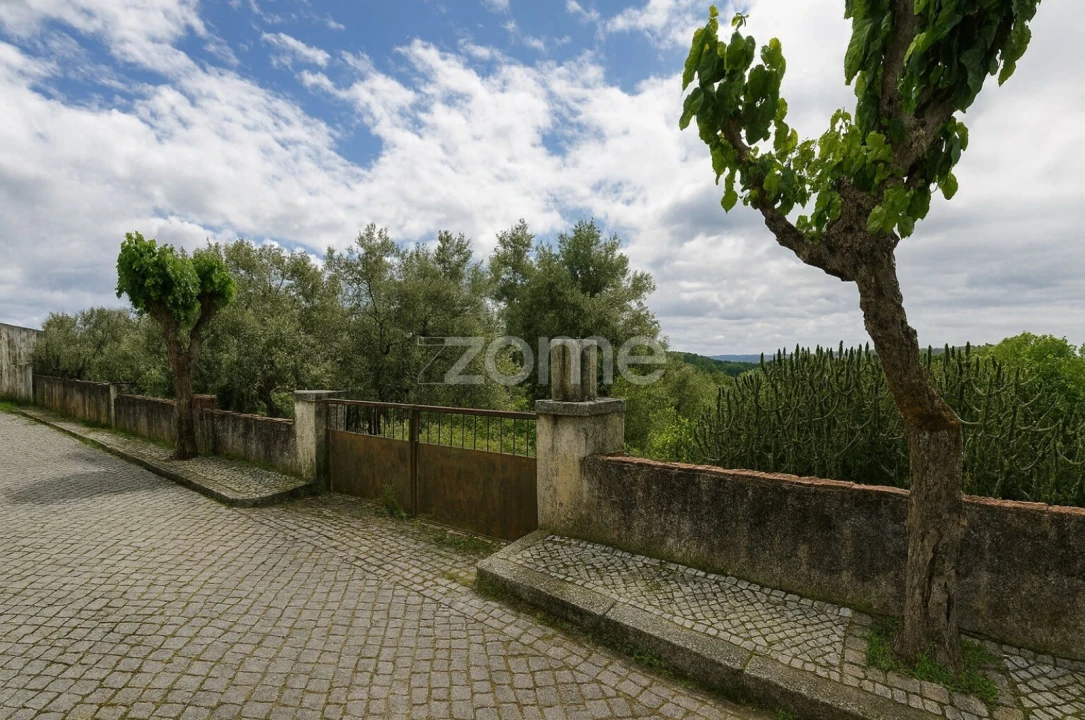 Terreno para Venda em Mação, Penhascoso e Aboboreira Foto 4