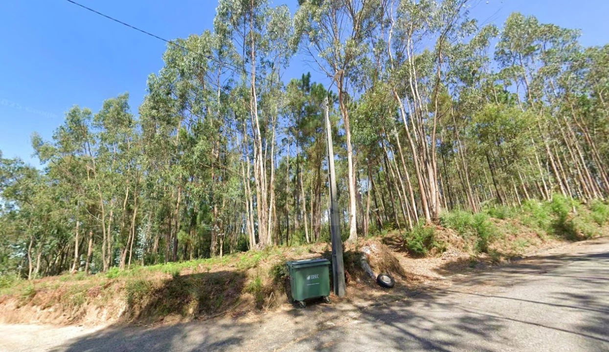 Terreno para Venda em Ovar, São João, Arada e São Vicente de Pereira Jusã Foto 3