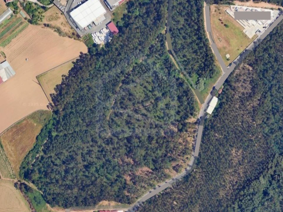 Terreno para Venda em Ovar, São João, Arada e São Vicente de Pereira Jusã Foto 6