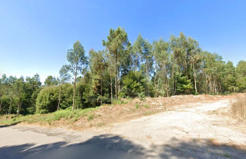 Terreno para Venda em Ovar, São João, Arada e São Vicente de Pereira Jusã Foto 1