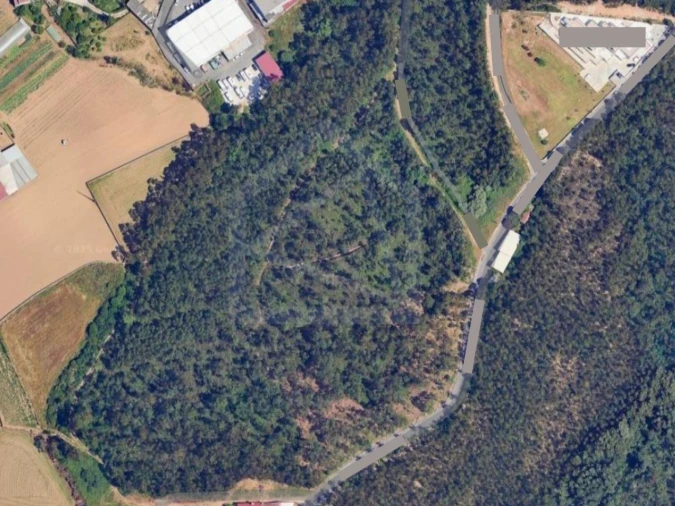 Terreno para Venda em Ovar, São João, Arada e São Vicente de Pereira Jusã Foto 6