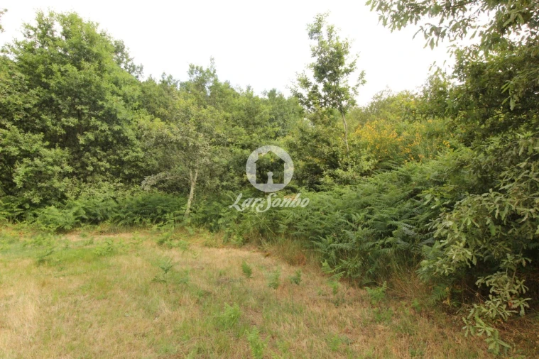 Terreno Agricola ou Rústico para Venda em Borba da Montanha Foto 2