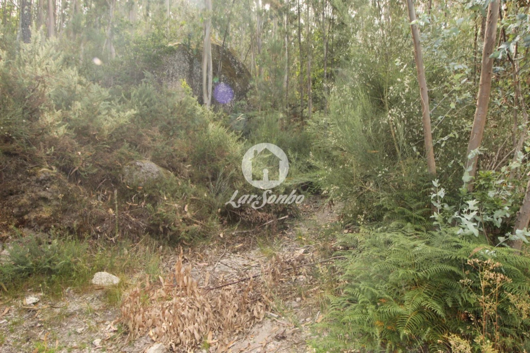 Terreno Agricola ou Rústico para Venda em Borba da Montanha Foto 1