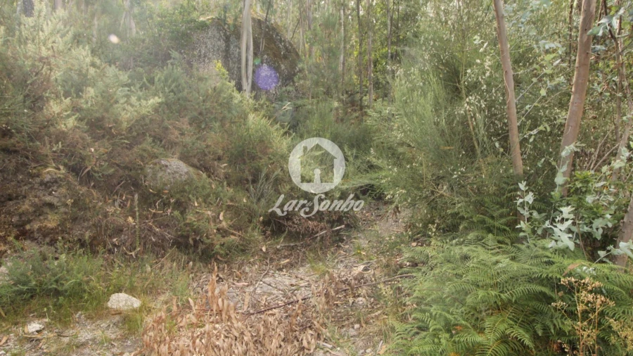 Terreno Agricola ou Rústico para Venda em Borba da Montanha