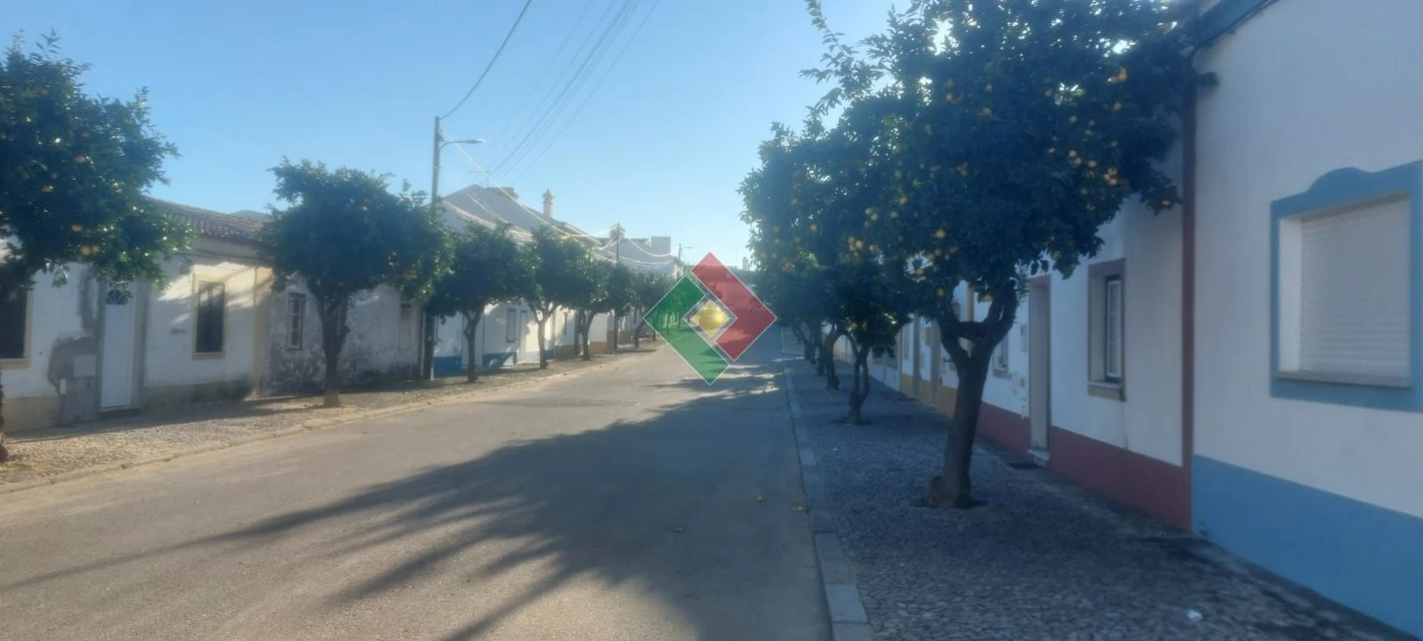 Terreno para Venda em Cabeço de Vide Foto 9