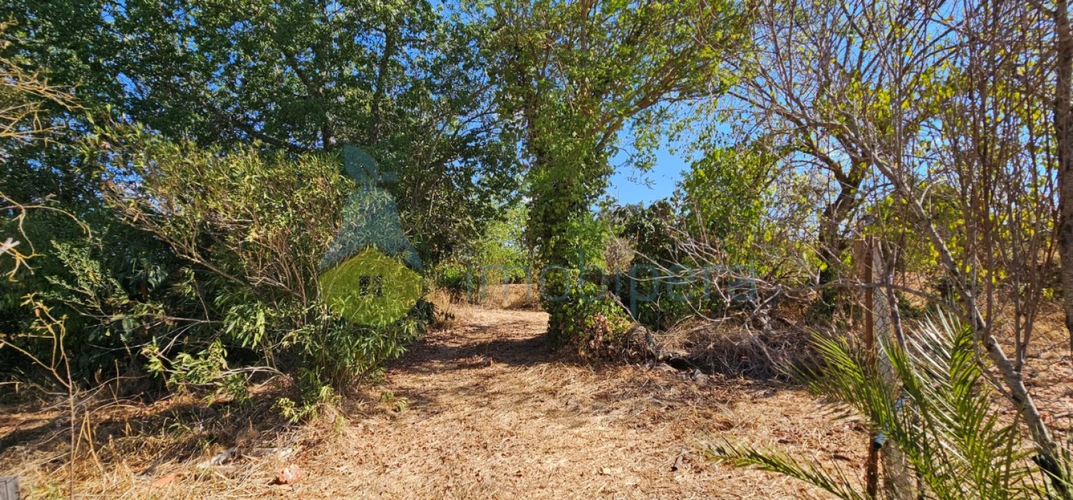 Terreno Agricola ou Rústico para Venda em São Bartolomeu de Messines Foto 12