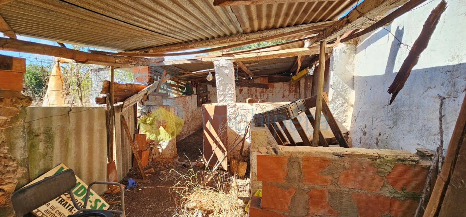 Terreno Agricola ou Rústico para Venda em São Bartolomeu de Messines Foto 5