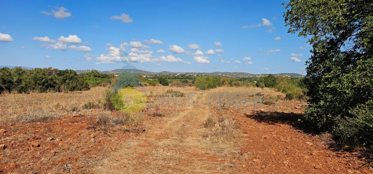 Terreno Agricola ou Rústico para Venda em São Bartolomeu de Messines Foto 13