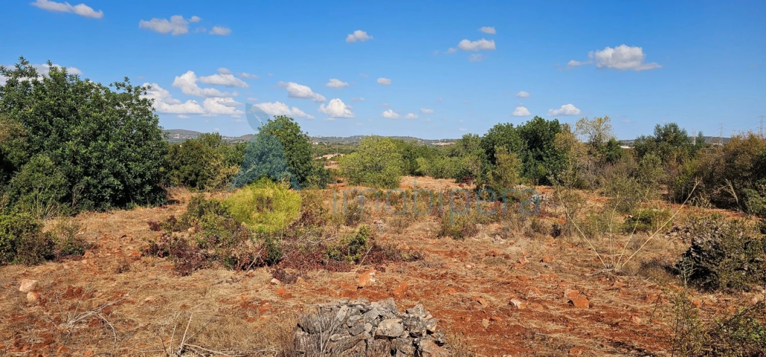 Terreno Agricola ou Rústico para Venda em São Bartolomeu de Messines Foto 15