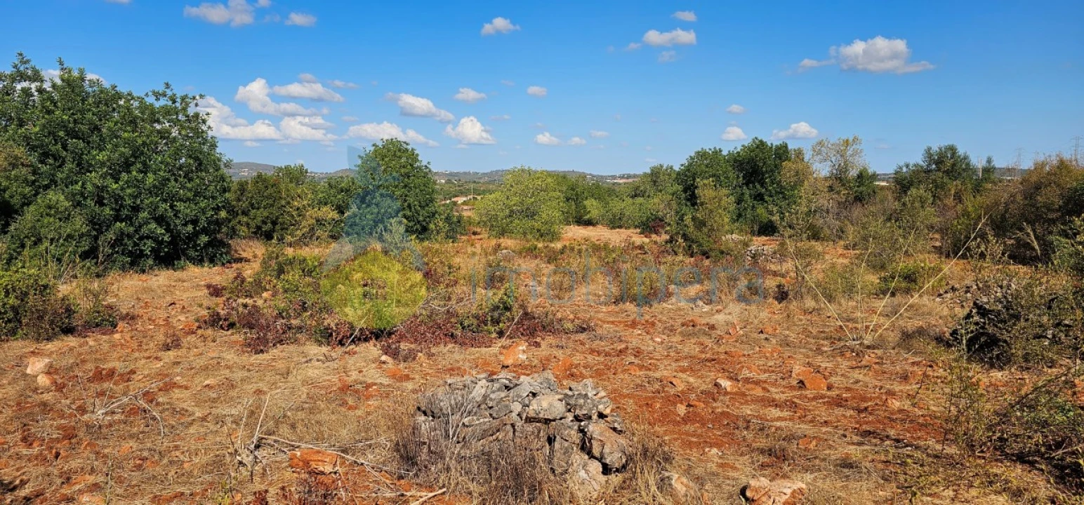 Terreno Agricola ou Rústico para Venda em São Bartolomeu de Messines Foto 16